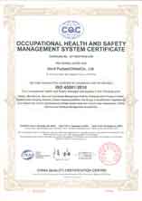 ISO 45001, Zenit Pumps China